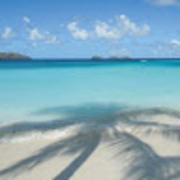 Meet your Posher, L - Picture 1 of 1